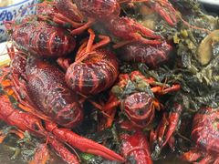 -盱眙红叶龙虾(金源北路店)