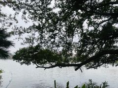 -东山湖公园