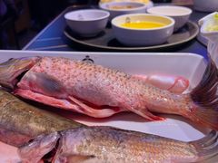 -营信刘罗锅铁锅炖(建华店)