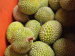 -都念榴莲·城市榴莲