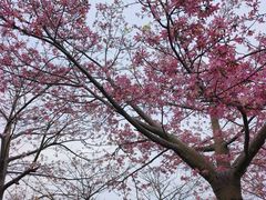 -风云岭森林公园