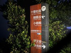 -梧桐山风景名胜区