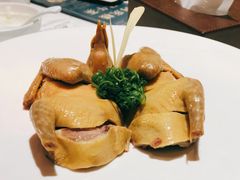 鸽乳-同庆楼(滨湖万达广场店)