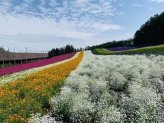 -富田农场