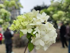 -大龙山(地铁站)