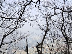 -惠山国家森林公园