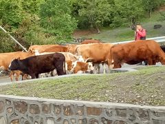 -硗碛藏寨·神木垒景区