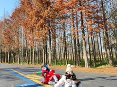 -上海长兴岛郊野公园