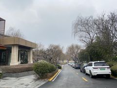-西安国际创新人才交流中心•药浴温泉