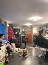 -Libertines barbershop 浪子理发店