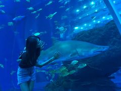 -成都浩海立方海洋公园