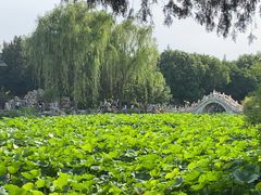 -莲池书院博物馆