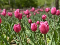 -长春公园(普阳街道)