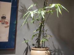 -本处·素食·融合料理(南油店)