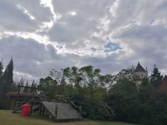 -崇明东平国家森林公园烧烤房车露营地