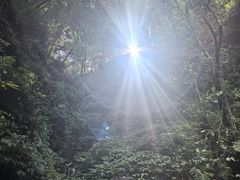 -碧峰峡风景区