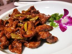 -羲和雅苑•北京烤鸭(平安国际金融中心店)