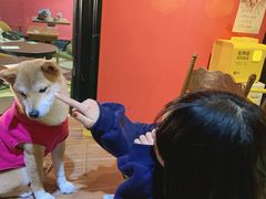 -猫色咖啡·猫咖