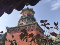 -延庆观