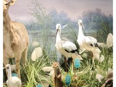 -湖南省地质博物馆