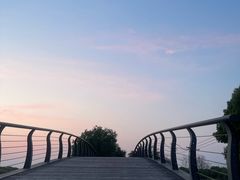 -广富林郊野公园
