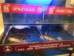 -集草轩·重庆麻辣烤鱼(西湖道店)