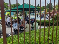 -上海月湖雕塑公园