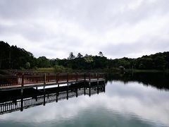 -海南热带雨林国家公园吊罗山景区