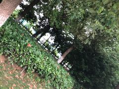 -南京航空航天大学(将军路校区)