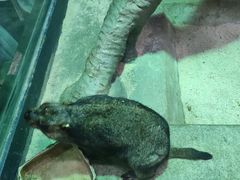 -福州罗源湾海洋世界旅游区