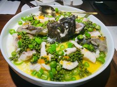 青青椒麻龙胆鱼-CHIC1699远洋私厨