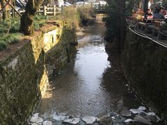 -欣怡茶庄·始于1999(梅家坞店)