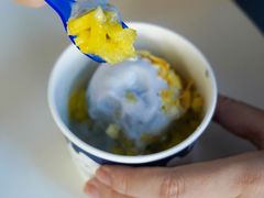 -蔻蔻椰·鲜萃椰子水(COCO Park店)