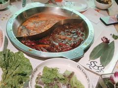 -大龙燚火锅