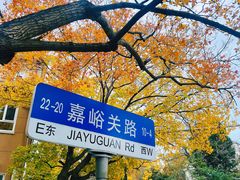 -八大关景区