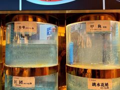 -甦杏鸡毛店(营门口店)