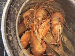 -百家班(市府店)