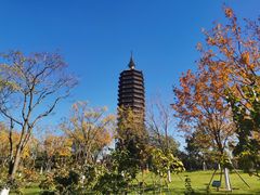 -西海子公园