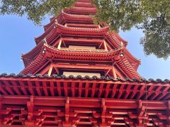 -绳金塔