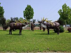 -大连铭湖国际观光牧场