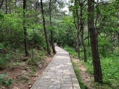 -金龙寺国家森林公园