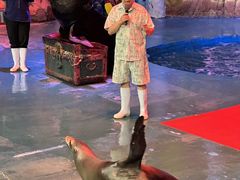 -烟台海昌鲸鲨海洋公园