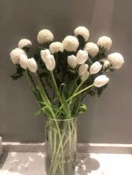 -无界瑜伽普拉提