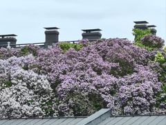 -芬兰堡