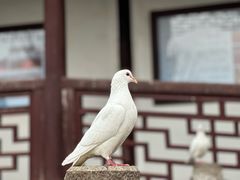-重元寺