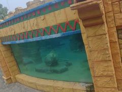 -上海玛雅海滩水公园