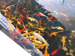 -墨more调香馆DIY自调香水(博雅国际中心B座店)