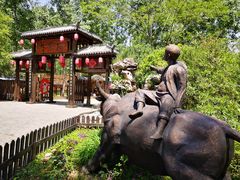 -合肥滨湖国家森林公园