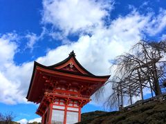 -有栖山 清光院 清水寺