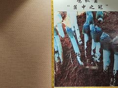 -菌之家·专业纯野生菌火锅·特色炒菌